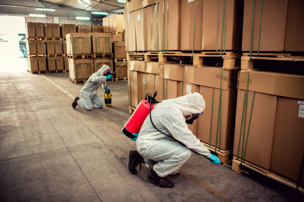 Best Best Pest Control Near Me  in Newport, DE