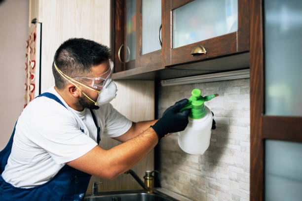 Reliable Newport, DE Pest Control Solutions