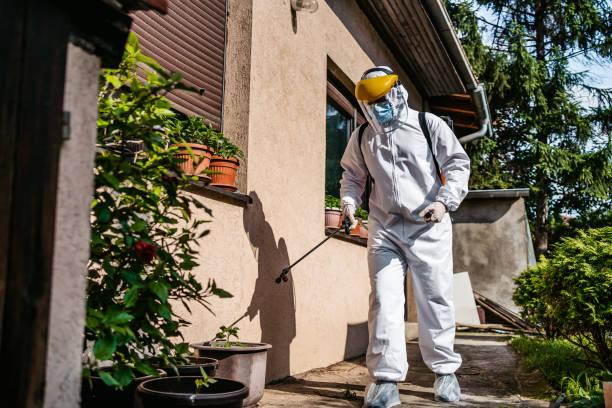 Best Affordable Pest Control Services  in Newport, DE