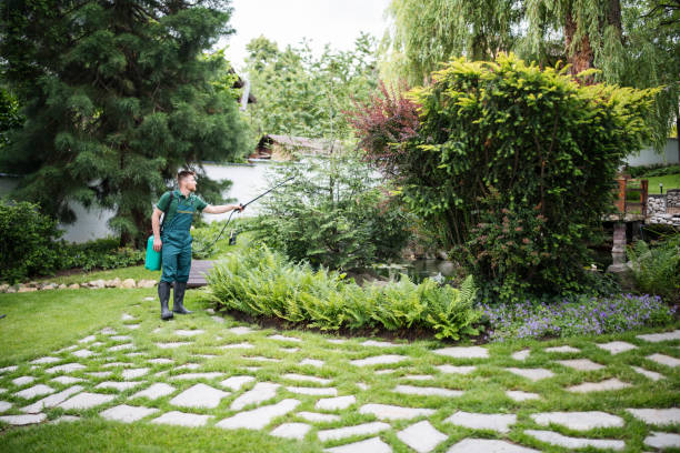 Best Pest Control Cost  in Newport, DE