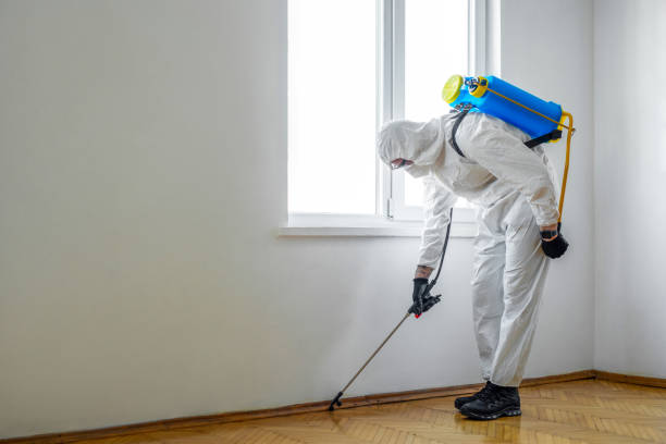 Best Best Pest Control Companies  in Newport, DE