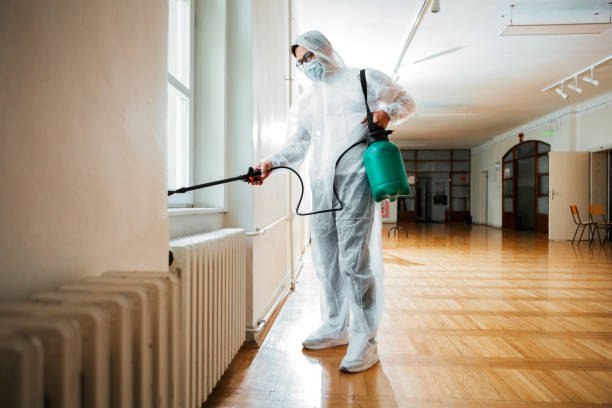 Best Wasp Removal Services  in Newport, DE