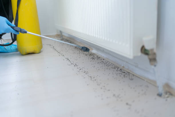 Pest Control Cost in Newport, DE